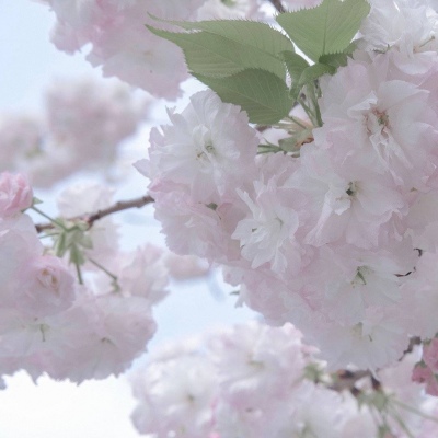 平鲁FurryQQ群介绍